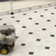 Image for article titled The rats are just driving around in tiny little rat cars now